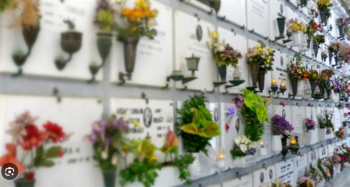 Manifestazione di interesse per l'acquisto di loculi cimiteriali