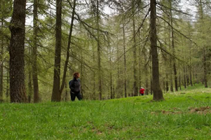 Laboratorio di Terapia Forestale per giovani – Primo incontro pratico a Elva